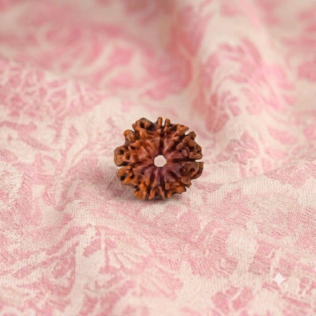 8 Mukhi Rudraksha ( Nepali )