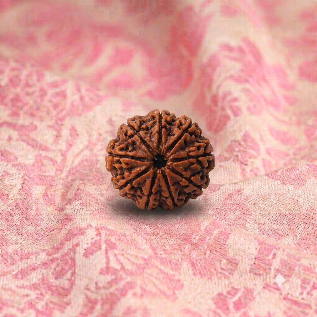 9 Mukhi Rudraksha ( Nepali )